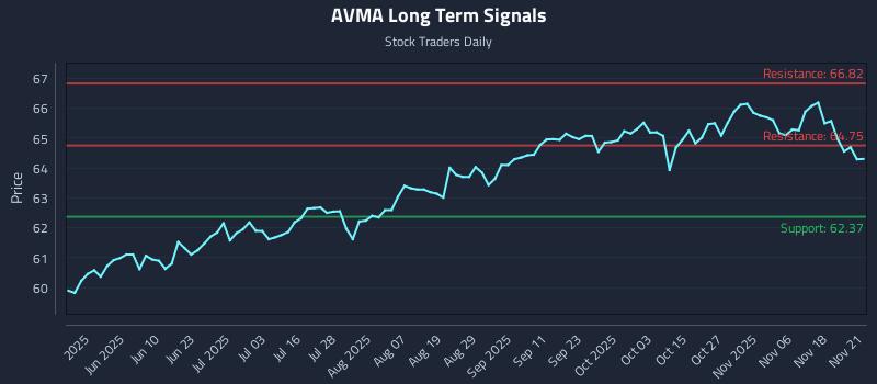 AVMA Long Term Analysis for November 22 2025