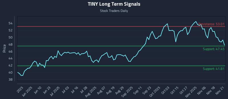 TINY Long Term Analysis for November 22 2025