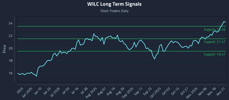 WILC Long Term Analysis for November 22 2025 WILC Long Term Analysis for November 22 2025