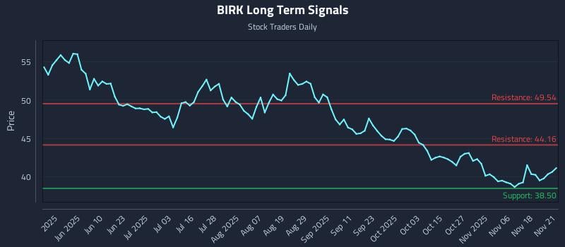 BIRK Long Term Analysis for November 22 2025