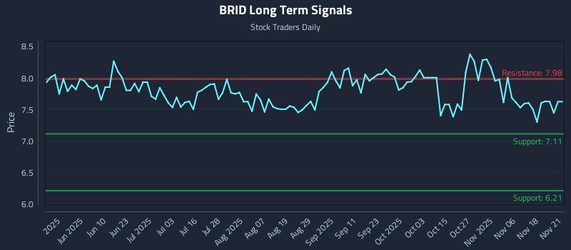 BRID Long Term Analysis for November 22 2025