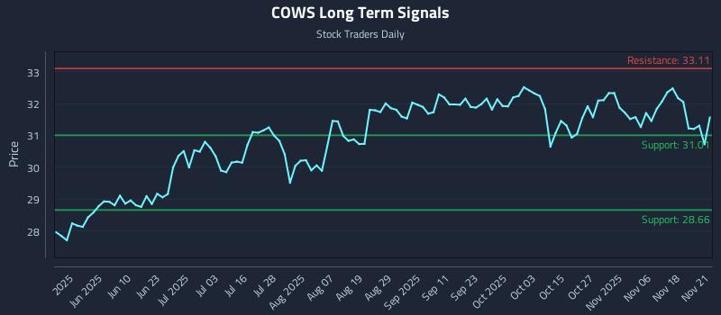 COWS Long Term Analysis for November 22 2025