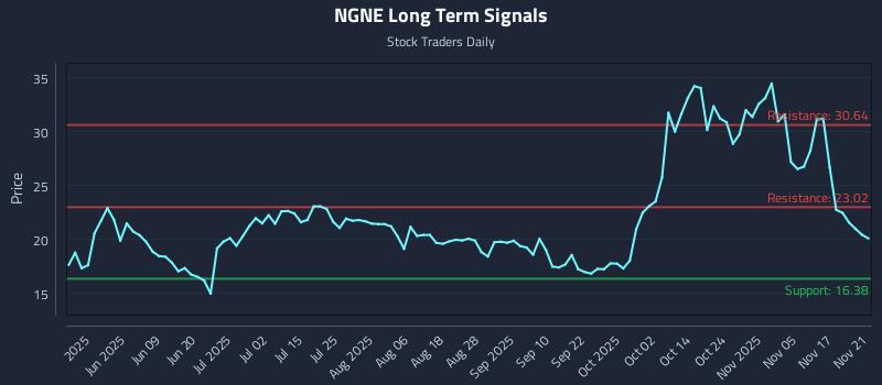 NGNE Long Term Analysis for November 22 2025 NGNE Long Term Analysis for November 22 2025