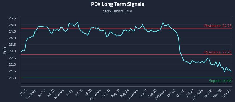 PDX Long Term Analysis for November 22 2025