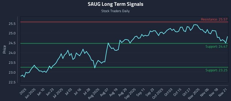 SAUG Long Term Analysis for November 22 2025