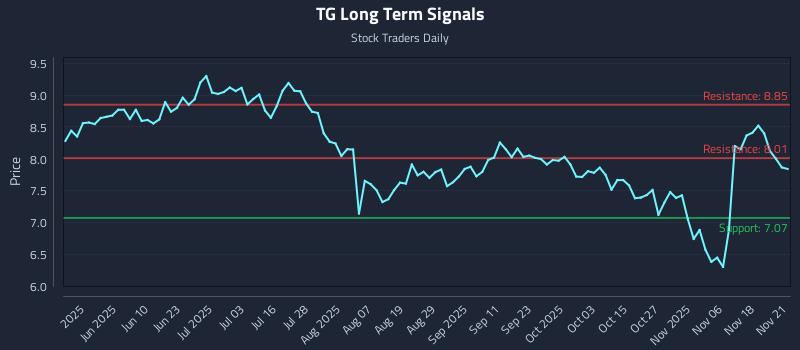 TG Long Term Analysis for November 22 2025