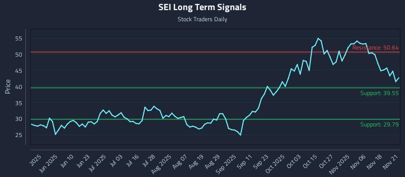 SEI Long Term Analysis for November 23 2025