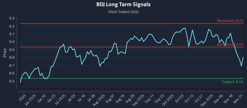 BDJ Long Term Analysis for November 23 2025