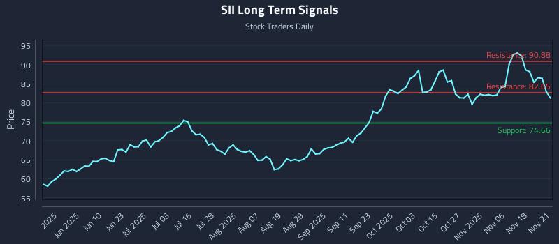 SII Long Term Analysis for November 23 2025