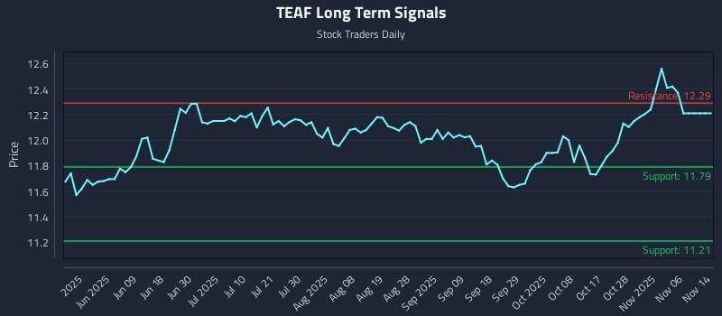 TEAF Long Term Analysis for November 23 2025