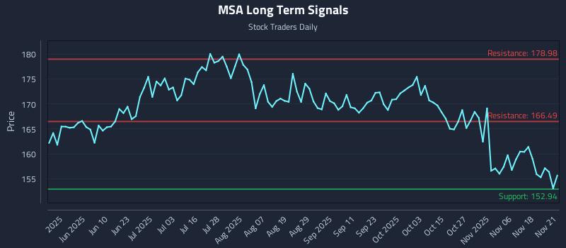 MSA Long Term Analysis for November 23 2025