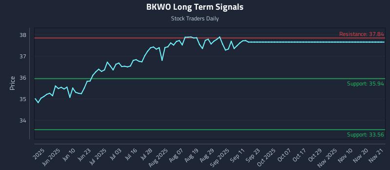 BKWO Long Term Analysis for November 23 2025