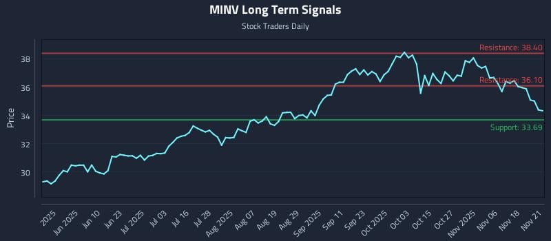 MINV Long Term Analysis for November 23 2025