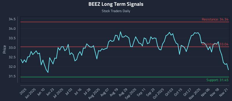 BEEZ Long Term Analysis for November 23 2025 BEEZ Long Term Analysis for November 23 2025