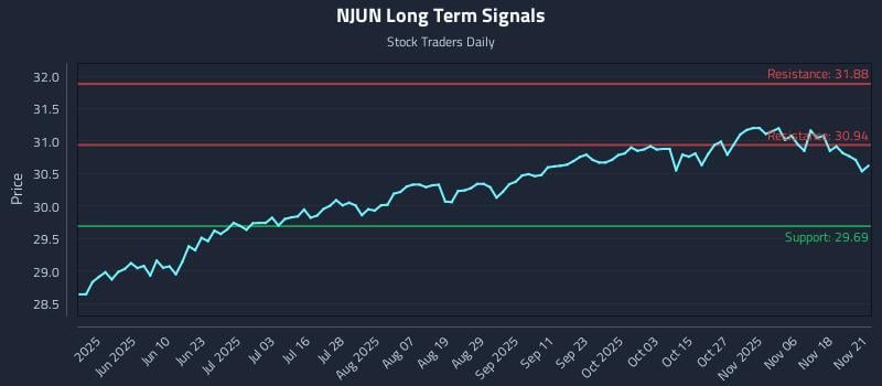 NJUN Long Term Analysis for November 23 2025