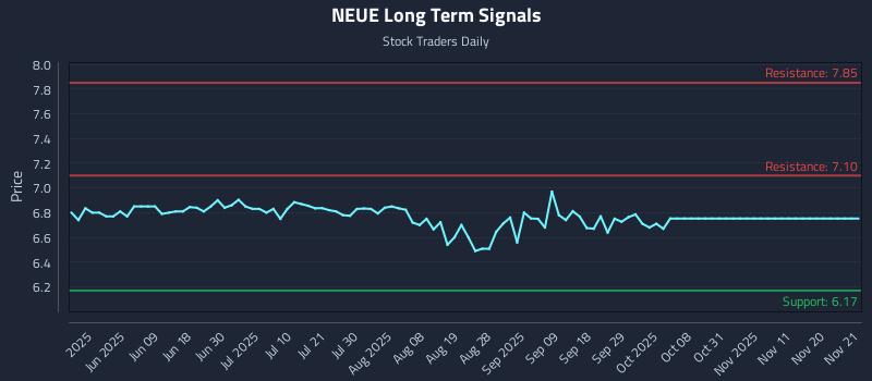 NEUE Long Term Analysis for November 23 2025 NEUE Long Term Analysis for November 23 2025