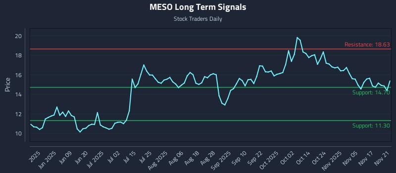 MESO Long Term Analysis for November 23 2025 MESO Long Term Analysis for November 23 2025