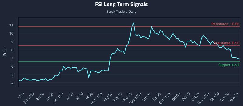 FSI Long Term Analysis for November 23 2025
