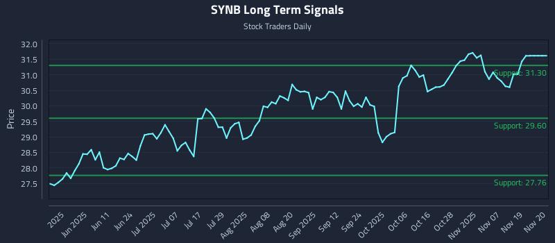 SYNB Long Term Analysis for November 24 2025