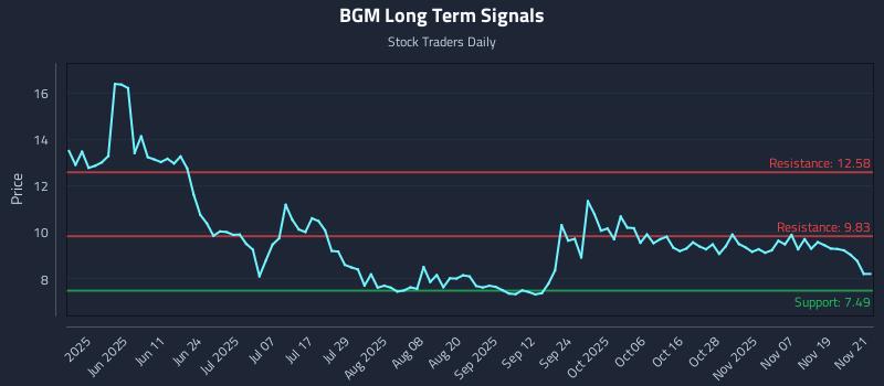 BGM Long Term Analysis for November 24 2025