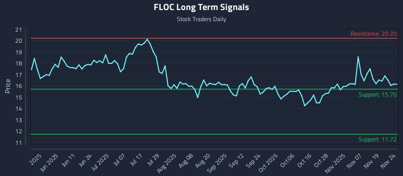 FLOC Long Term Analysis for November 24 2025 FLOC Long Term Analysis for November 24 2025