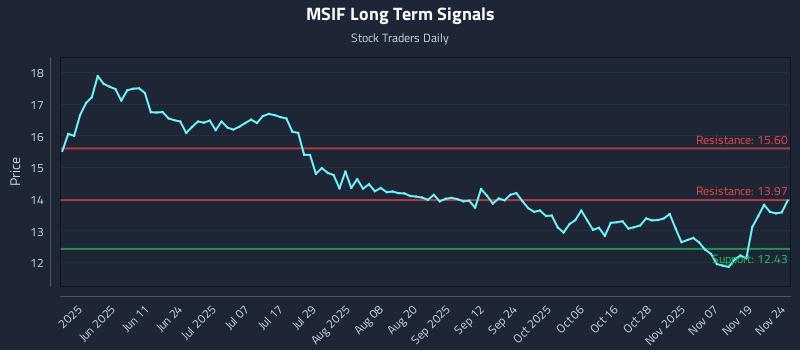 MSIF Long Term Analysis for November 24 2025