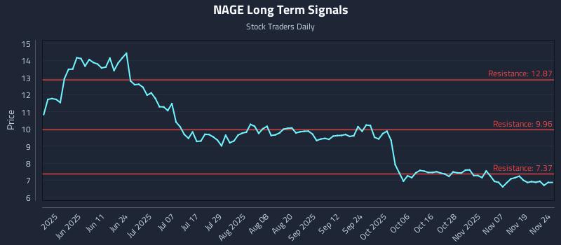 NAGE Long Term Analysis for November 24 2025 NAGE Long Term Analysis for November 24 2025