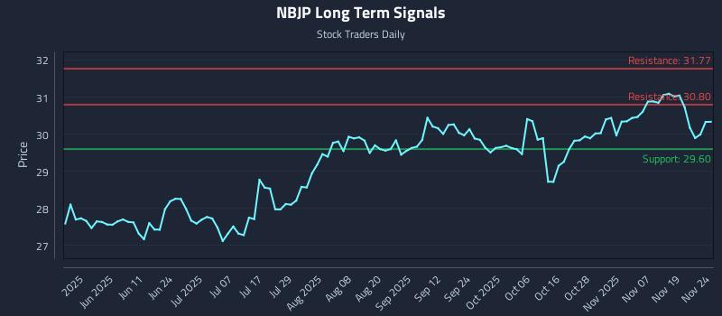NBJP Long Term Analysis for November 24 2025