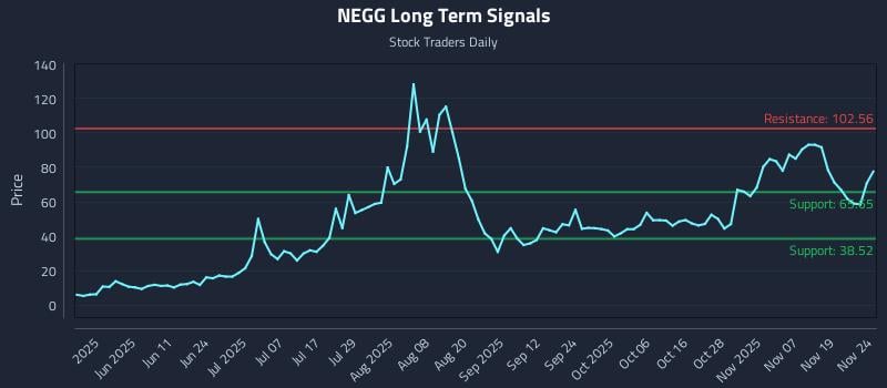 NEGG Long Term Analysis for November 24 2025 NEGG Long Term Analysis for November 24 2025