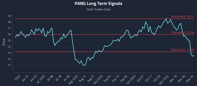PANG Long Term Analysis for November 25 2025 PANG Long Term Analysis for November 25 2025