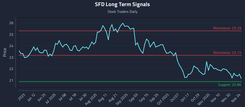 SFD Long Term Analysis for November 25 2025 SFD Long Term Analysis for November 25 2025