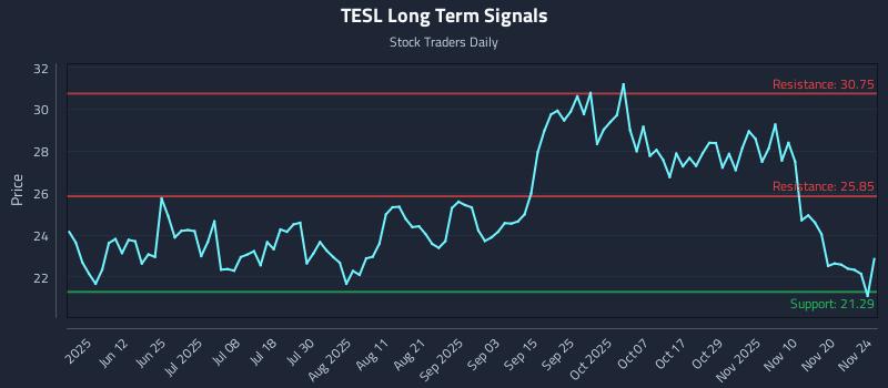 TESL Long Term Analysis for November 25 2025