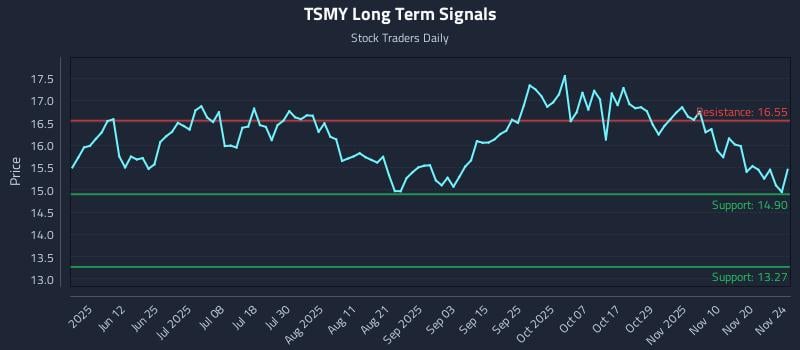TSMY Long Term Analysis for November 25 2025