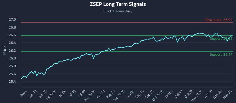 ZSEP Long Term Analysis for November 25 2025