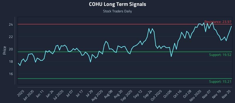 COHU Long Term Analysis for November 25 2025