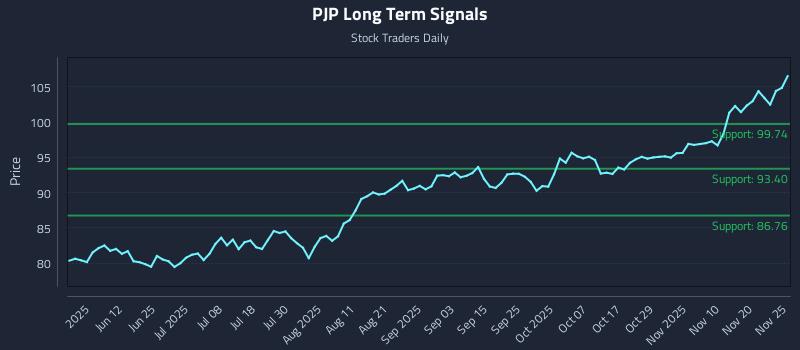 PJP Long Term Analysis for November 26 2025