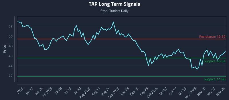 TAP Long Term Analysis for November 26 2025