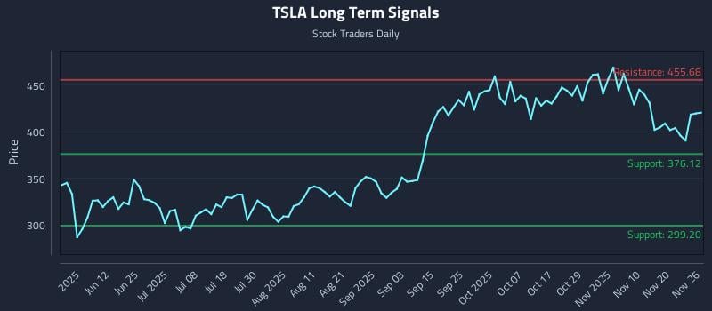TSLA Long Term Analysis for November 26 2025