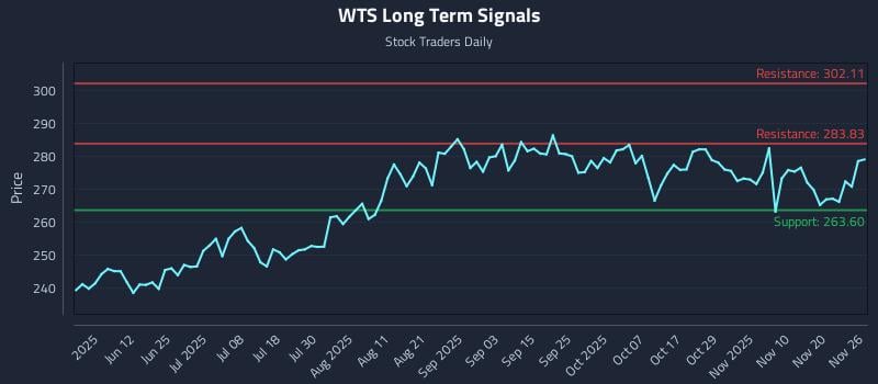WTS Long Term Analysis for November 26 2025