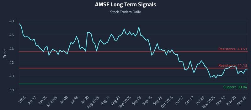 AMSF Long Term Analysis for November 26 2025