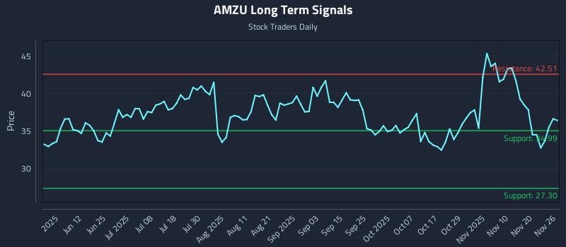 AMZU Long Term Analysis for November 26 2025