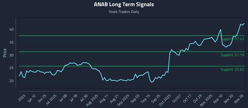 ANAB Long Term Analysis for November 26 2025 ANAB Long Term Analysis for November 26 2025