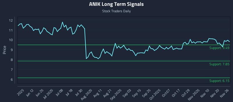 ANIK Long Term Analysis for November 26 2025