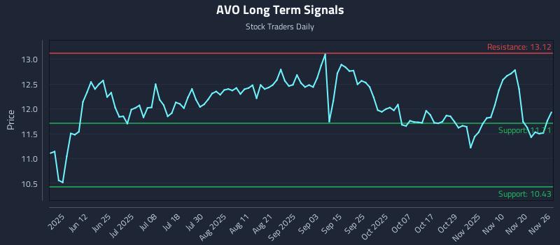 AVO Long Term Analysis for November 26 2025 AVO Long Term Analysis for November 26 2025