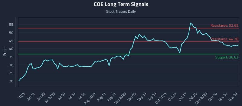 COE Long Term Analysis for November 27 2025