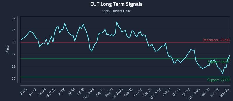 CUT Long Term Analysis for November 27 2025