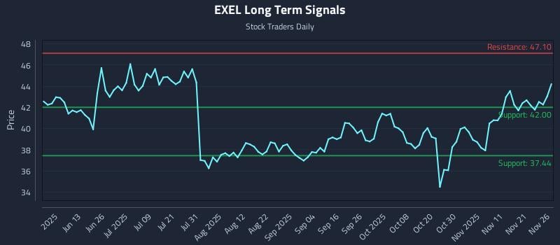 EXEL Long Term Analysis for November 28 2025