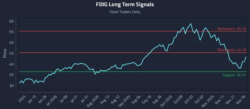FDIG Long Term Analysis for November 28 2025 FDIG Long Term Analysis for November 28 2025