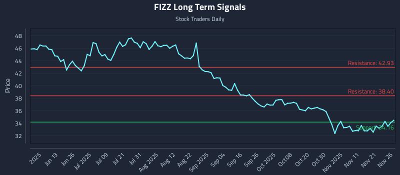 FIZZ Long Term Analysis for November 28 2025 FIZZ Long Term Analysis for November 28 2025
