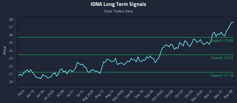 IDNA Long Term Analysis for November 29 2025